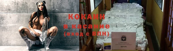 сатива Белокуриха
