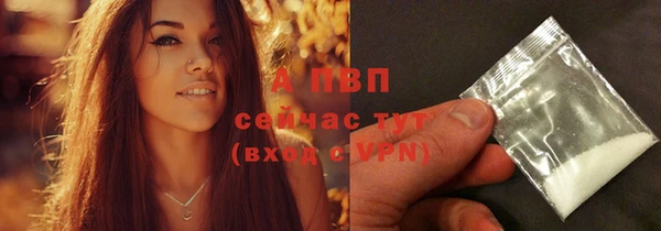 гидра Белоозёрский