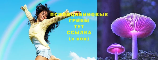 сатива Белокуриха