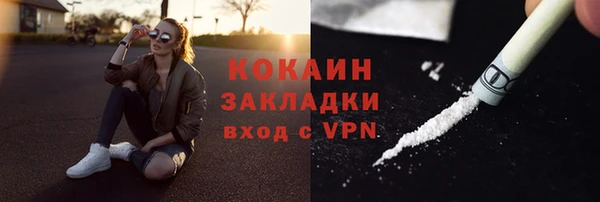 гидра Белоозёрский