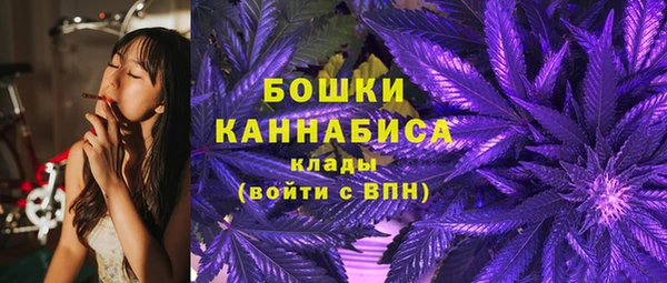 сатива Белокуриха