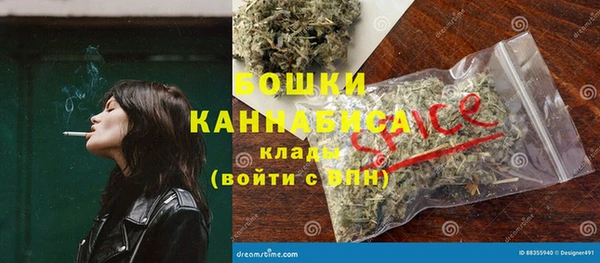 сатива Белокуриха