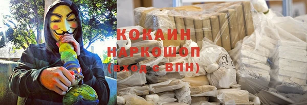 сатива Белокуриха