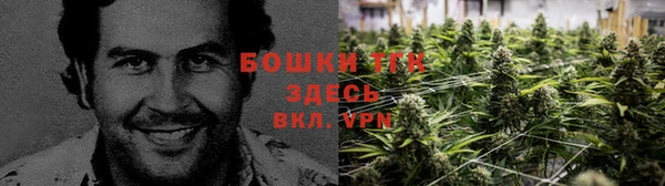 гидра Белоозёрский