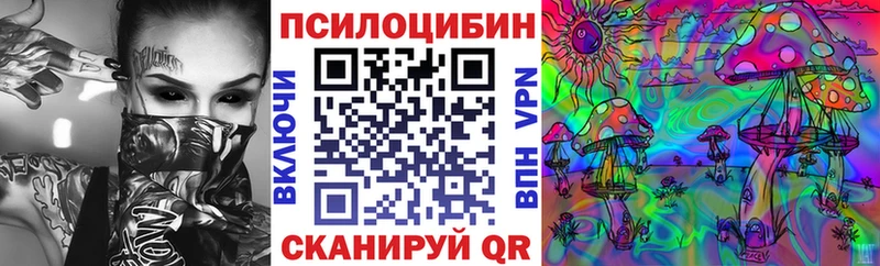 Псилоцибиновые грибы мухоморы Пенза